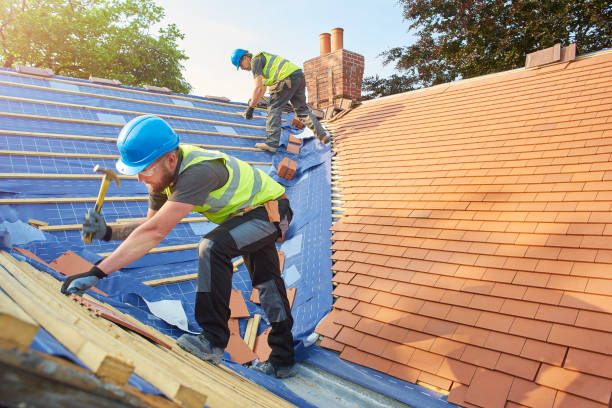 Best Metal Roofing Installation  in Rutherford College, NC